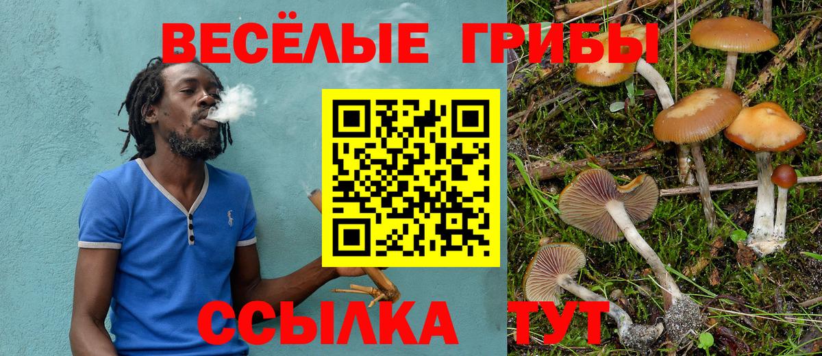 купить наркотик  Вход с VPN  Жуковский  Галлюциногенные грибы прущие грибы 
