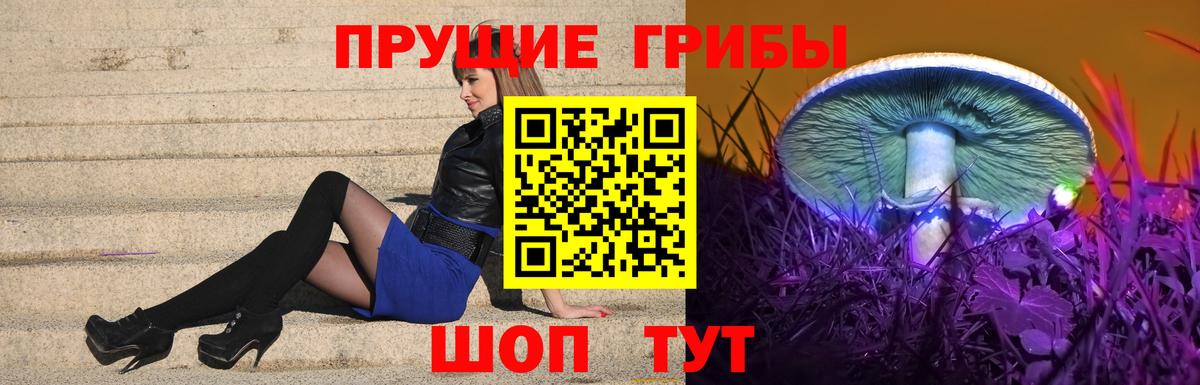 Псилоцибиновые грибы GOLDEN TEACHER Жуковский